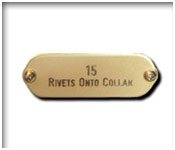 15 - Rivets to Collar